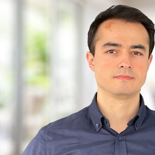 Uyanik Fevzi